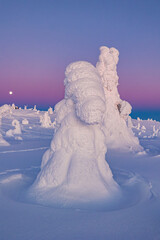 Fototapeta premium winter landscape at sunset