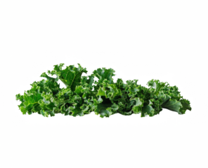 Kale, a vegetable with green leaves isolated on a white background, png.
