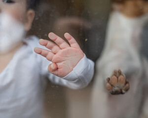 Close-up of baby boy's palm and paw of Jack Russell Terrier dog on patio window. 