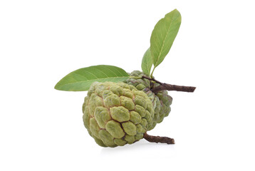 Fototapeta premium Custard apple isolate on white background