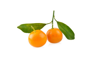 kumquat orange that placed on white background