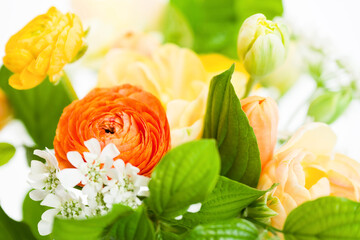 Elegant mixed warm colored spring bouquet close up. Spring flowers.