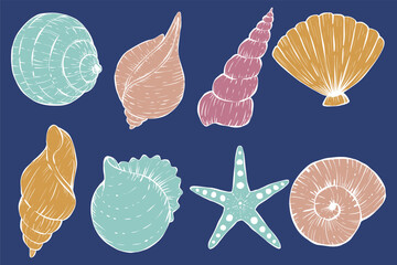 Hand drawn underwater sea shells set vector