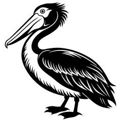 Pelican Vector Silhouette