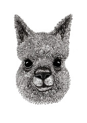 Illustration of the head of a llama, alpaca. The portrait looks to the front. Filled with flowers, leaves and decor. Black outline drawing. Doodle. Isolated on white background. Big black eyes. © Lesia
