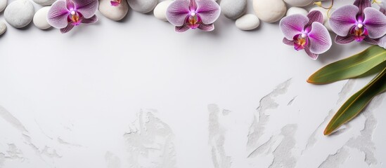 Flat lay composition with spa white stones and white orchid flowers on white background Space for text. copy space available