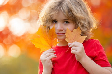 Autumn kid Portrait with Fall Yellow Leaves in hand. Beautiful Kid in Autumn Park Outdoor. Close up face of cute child hold leaves in park outdoor. Childhood, autumn and leisure. Fall foliage.