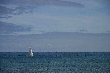 Fototapeta premium Sailboats sailing in a calm sea with sails blowing in the wind
