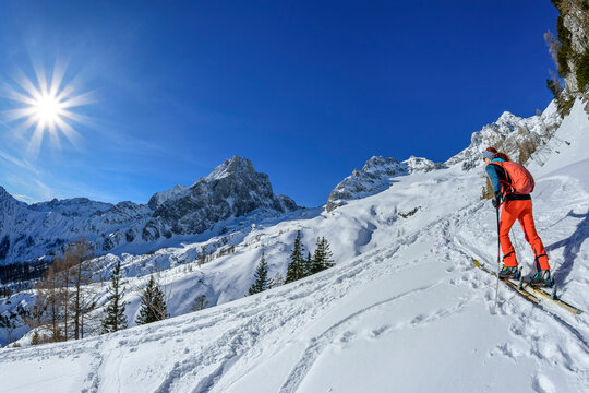 Woman back country skiing towards Grosser Priel with Spitzmauer in background, Totes Gebirge, Upper Austria, Austria