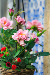 Pink flower and blue azulejo at background, Portugal