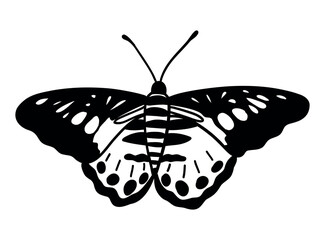 Monochrome butterfly silhouette cut out black