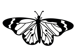 Monochrome butterfly silhouette cut out black bloom