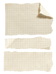 Set of torn grid papers