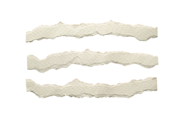 Torn narrow long white paper with squiggly edges