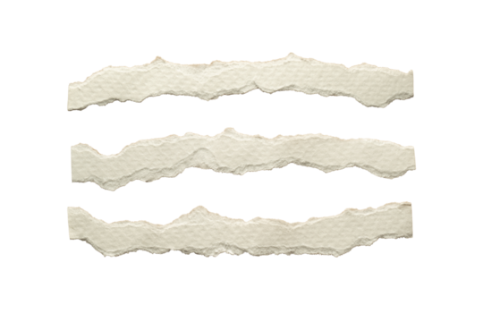 Torn narrow long white paper with squiggly edges