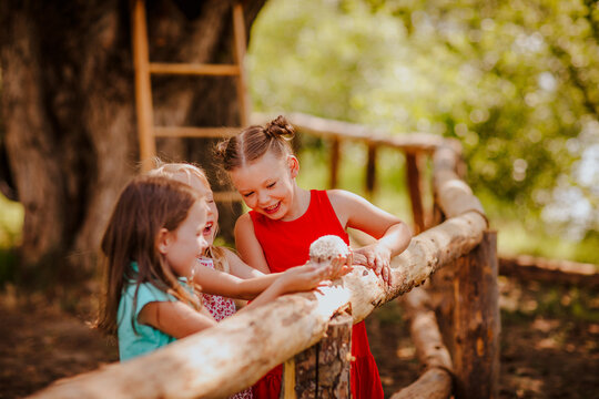 Girls with hedgehog by wooden fence at garden