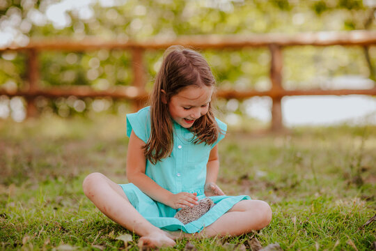 Happy girl playing with hedgehog sitting on grass at garden