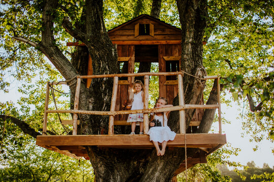 Sisters on tree house in garden