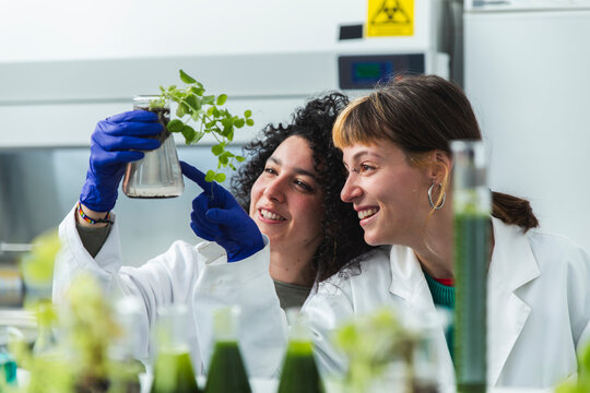 Smiling scientists examining samples of pea plants in laboratory - Powered by Adobe
