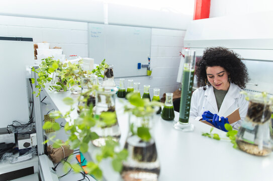 Young scientist analyzing samples and taking notes in laboratory