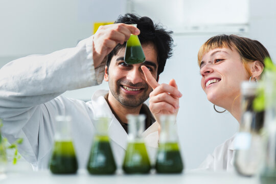 Smiling scientists analyzing samples of spirulina algae in flask at laboratory
