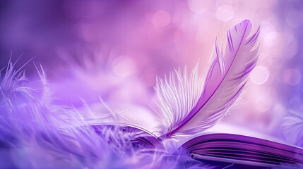 Obraz premium purple and white feathers