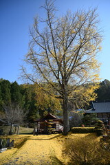 Obraz premium 長福寺