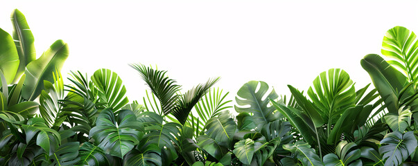 Lush green tropical plant leaves forming a panoramic foliage border