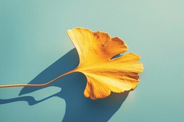 Naklejka premium Vibrant Yellow Ginkgo Leaf on Tranquil Blue Background for Nature and Botanical Designs.
