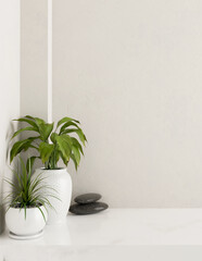 A white console table featuring stones and potted plants against a white wall in a minimalist room.