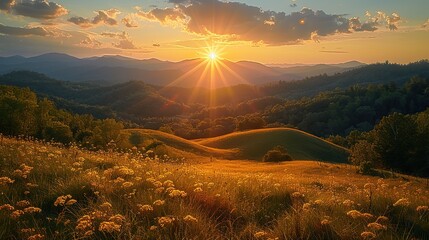 A picture of a golden sun rising over a peaceful valley.