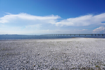 Obraz premium りんくう公園 関空