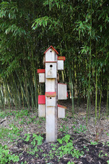 houses for wild bees in a summer park