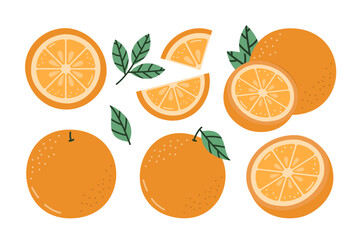 Orange Vector Illustration Isolated on White Background. Whole Summer Fruit with Halves, Slices and Leaves Set.