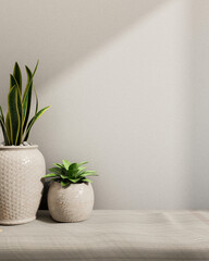 Minimalist ceramic potted plants on a table against a white wall with daylight shadows.