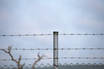 Barbed wire on sky background. Garden or border line, barbed wire. Prison. Security measures idea...