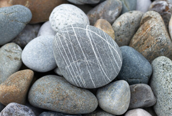 Sea stones with texture on the seashore