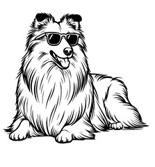 Collie dog wearing sunglasses , funny dog with glasses hand drawn illustration
