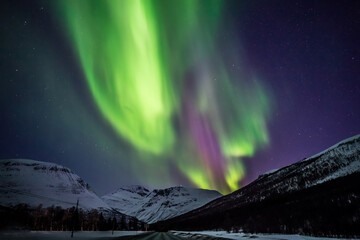 Troms&oslash;, aurora boreale
