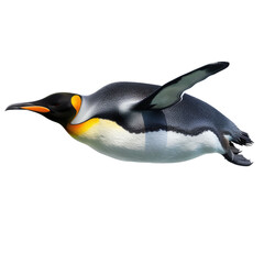 Naklejka premium penguin isolated on white