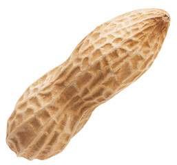 Single peanut isolated