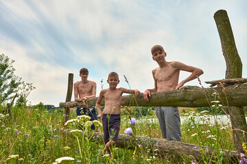 Two shirtless boys standing behind a wooden fence in a field of wildflowers on a summer day, with a cloudy sky in the background. Rural scene. Childhood in village.