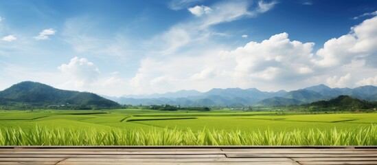 Scenic rural view featuring a golden paddy field bamboo bridge mountains clouds and a blue sky...