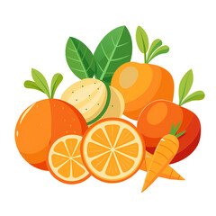 vector illustration of fresh orange and orange fruits on white background