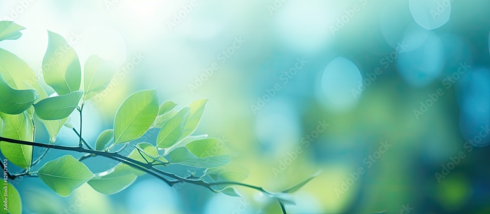 Wall mural nature inspired abstract blur background featuring out of focus leaves creating bokeh effect ideal f