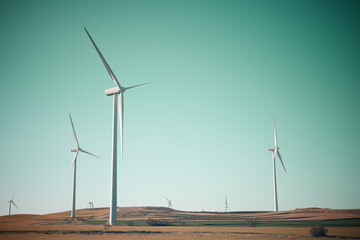 Wind turbine generators for green electricity production