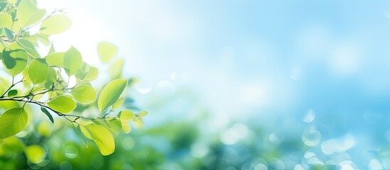 Obraz premium Blurry abstract summer background featuring blue and green hues with foliage sky and bokeh creating a vibrant scene Ideal as a cover page for projects related to environment and ecology