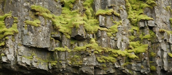 Close up image of rugged gray textured cliff covered in moss and lichens creating a stunning background with copy space for text or design