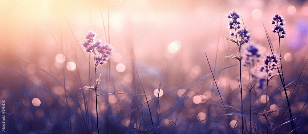 Sticker Vintage style small purple flower grass in a copy space image