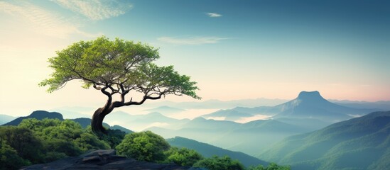 The tree grows on top of the mountain backdrop creating a scenic view with a copy space image